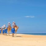 Ride the Wild Camel Safari and Off Road Rush - Relaxing at the Oceanfront Mexican Buffet and Tequila Tasting