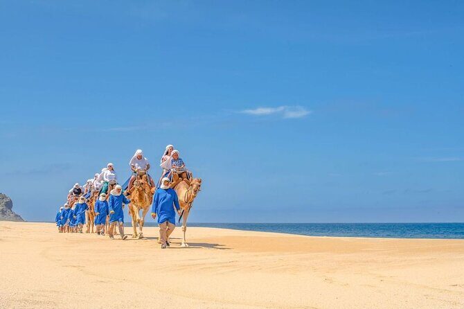 Ride the Wild Camel Safari and Off Road Rush - Relaxing at the Oceanfront Mexican Buffet and Tequila Tasting