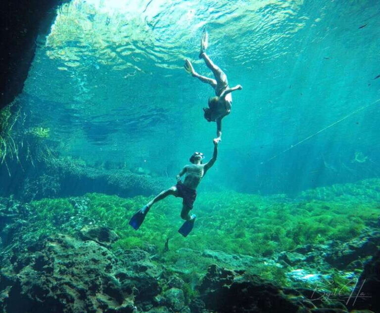 Ride to a life-changing cenotes tour - Authentic Experiences and Honest Reflections