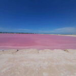 Rio Lagartos and Las Coloradas: EcoSafari Flamingo Luxury - What Sets This Tour Apart