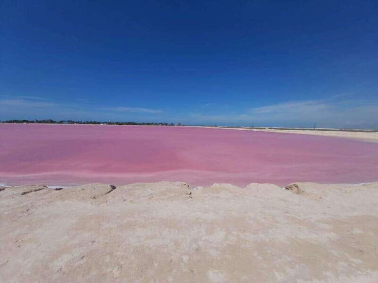 Rio Lagartos and Las Coloradas: EcoSafari Flamingo Luxury - What Sets This Tour Apart