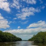 Rio Lagartos: Mangrove Tour and Mayan Bath (Natural Spa) - The Wildlife and Natural Beauty