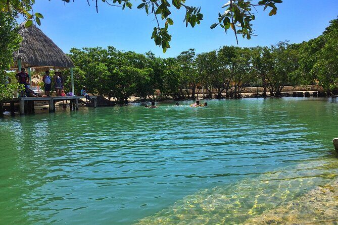 Rio Lizards and Las Coloradas Ecosafari Maya Natural Experience - The Practicalities: What’s Included and What’s Not