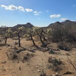 Ritz Dove Mountain and Totolita Hiking - Who Will Love This Tour?