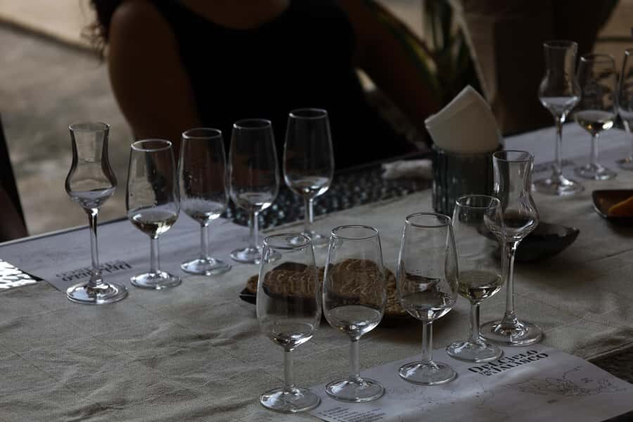 Riviera Maya: 2 hr Tequila Tasting with an Expert - A Closer Look at the Details and Practicalities