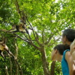 Riviera Maya: Croco Cun Interactive Zoo Tour - What To Expect During Your Visit