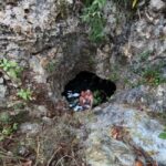 Riviera Maya: Nado con Tortugas, Cenote y Almuerzo mexicano. - Transportation and Group Dynamics