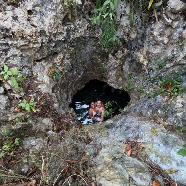 Riviera Maya: Nado con Tortugas, Cenote y Almuerzo mexicano. - Transportation and Group Dynamics