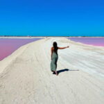 Riviera Maya: Rio Lagartos & Las Coloradas Day Trip w/Lunch - Final Thoughts