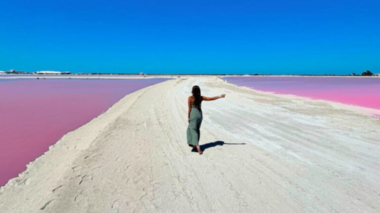 Riviera Maya: Rio Lagartos & Las Coloradas Day Trip w/Lunch - Final Thoughts