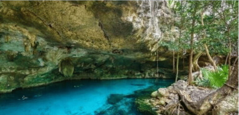 Riviera Maya: Snorkel Cenotes - Who Would Enjoy This Tour?