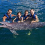 Riviera Maya: Swimming Experience with Dolphins - The Practical Details