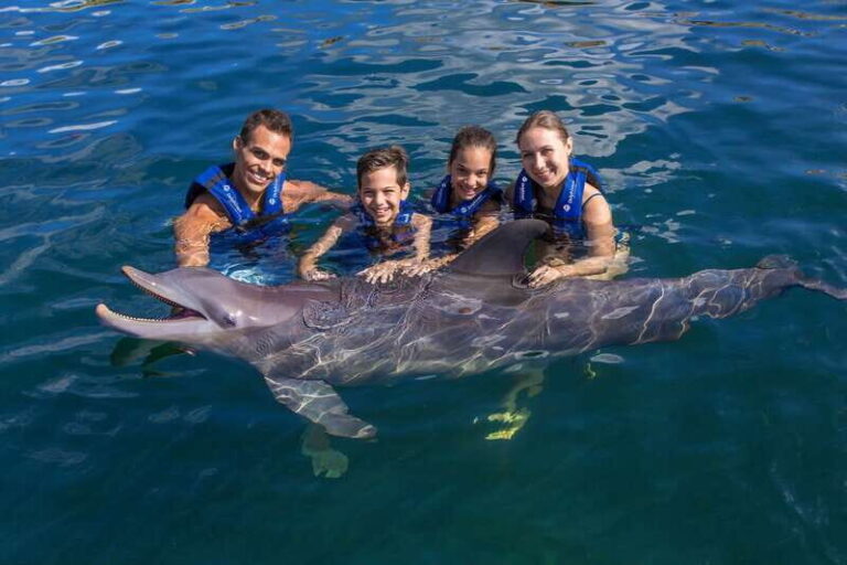Riviera Maya: Swimming Experience with Dolphins - The Practical Details