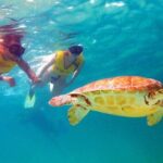 Riviera Maya Ultimate Adventure ATV's Snorkeling & Zip Lines - Who Should Book This Tour?