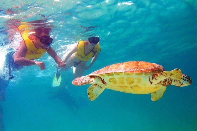 Riviera Maya Ultimate Adventure ATV's Snorkeling & Zip Lines - Who Should Book This Tour?