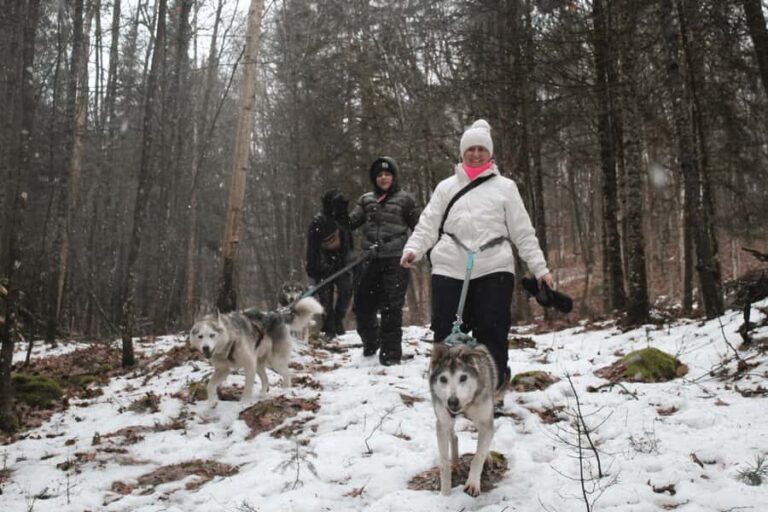 Rivière-Rouge: Snowshoe with Joering Harness and Sled Dogs - What to Expect: The Journey and the Terrain