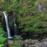 Road to Hana Deluxe Rainforest & Waterfall Experience from Oahu - Who Will Love This Tour?