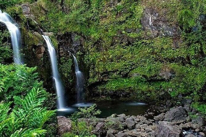 Road to Hana Deluxe Rainforest & Waterfall Experience from Oahu - Who Will Love This Tour?
