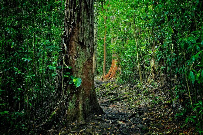 Road to Hana Halfway Tour - Pricing and Value