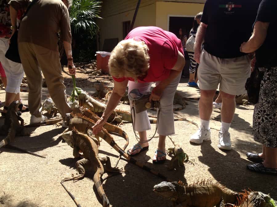 Roatán: Private Monkey and Sloth Sanctuary Tour - The Beach Break: Relax and Refresh