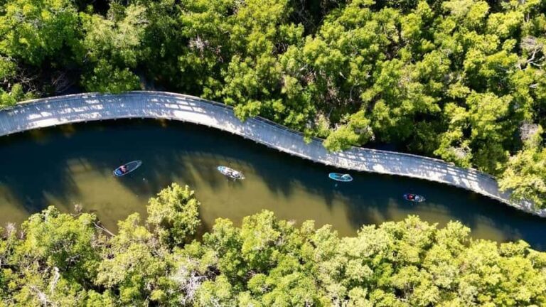 Robinson Preserve: Clear Kayak Ecotour - The Experience in Detail: What Makes It Special