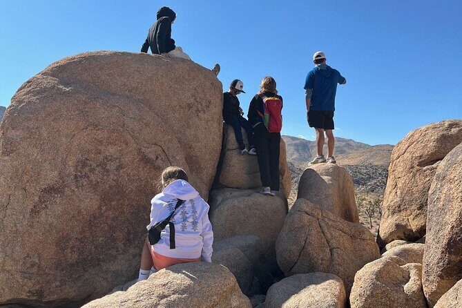 Rock Scrambling Adventures in Joshua Tree National Park - The Value of the Experience