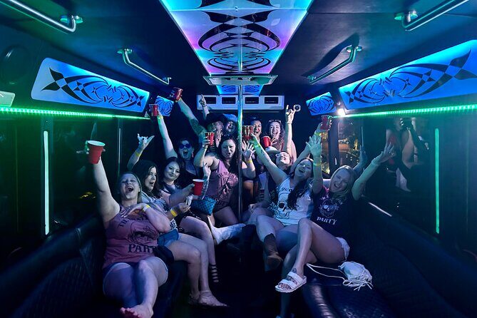 Rock the Mic Karaoke Party Bus - The Practical Details