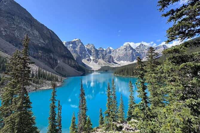 Rockies Day Trip Moraine Lake Lake Louise Peyto Lake and Banff - What Makes This Tour Stand Out