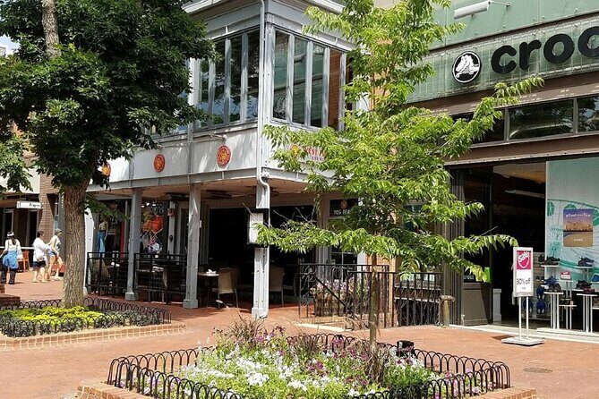 Rocky Mountain National Park 1-Day tour from Denver - Transport, Comfort, and Practicalities