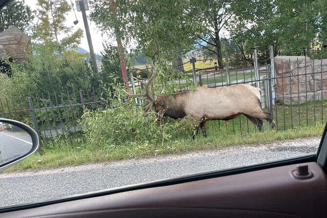 Rocky Mountain National Park Car Tour from Estes Park - Final Thoughts: Who Should Consider This Tour?