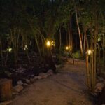 Romantic Dinner for 2 in Magical Jungle Setting - The Experience: What You Might Expect