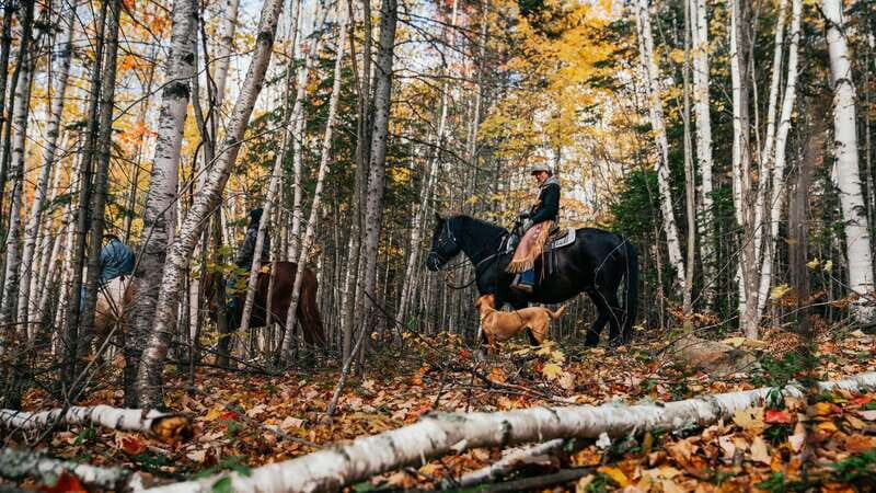 Romantic horseback riding at sunset : La Crépuscule - Who Will Love This Experience?