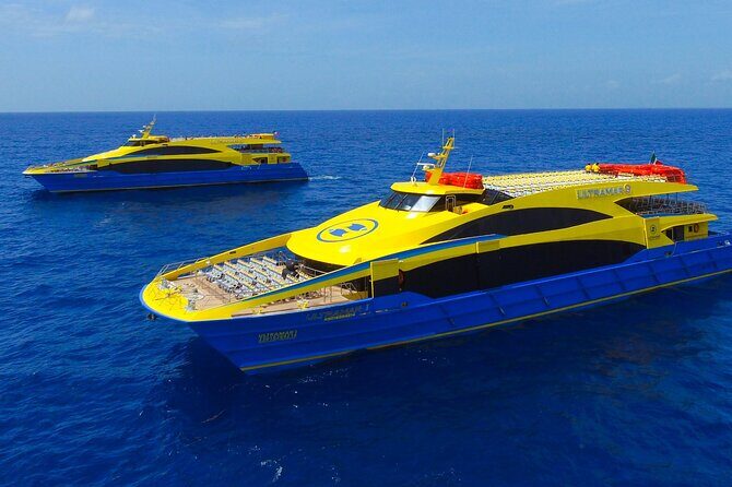 Round Transportation from Cancun to Cozumel Island in One Day - The Practical Details That Matter