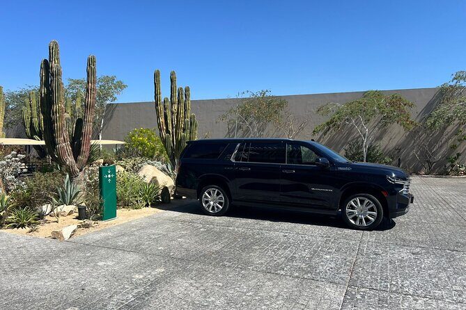Round Trip from SJD Airport to Cabo San Lucas Hotels - Who Would Love This Service?