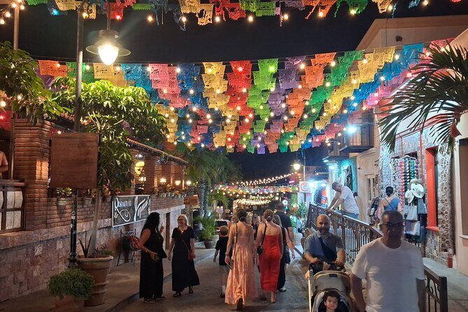 Round Trip Private Trip Los Cabos-San Jose Cabo Airport - Practical Tips for a Smooth Experience