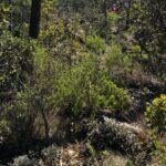 Route to the Peñas Cuatas Science Forest and Adventure - A Closer Look at the Tour Itinerary