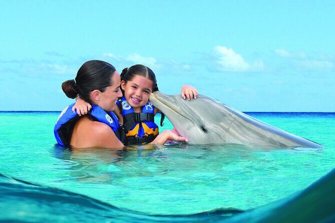 Royal Garragon with Dolphin Encounter in Isla Mujeres - Who Is This Tour Best For?
