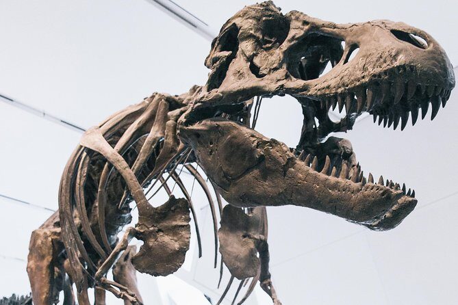 Royal Ontario Museum Admission - Is the ROM Right for You?