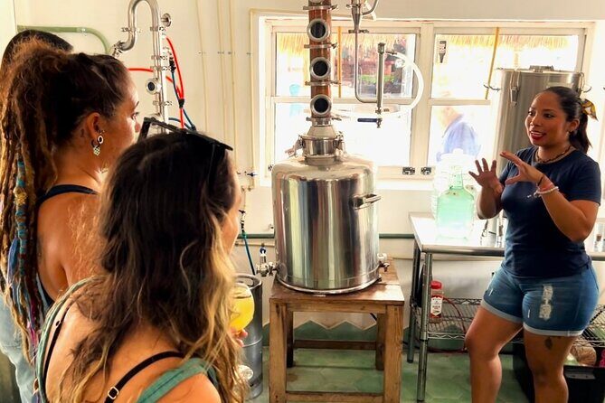 Rum and Gin at Cozumel First Distillery - Who Will Love This Experience?