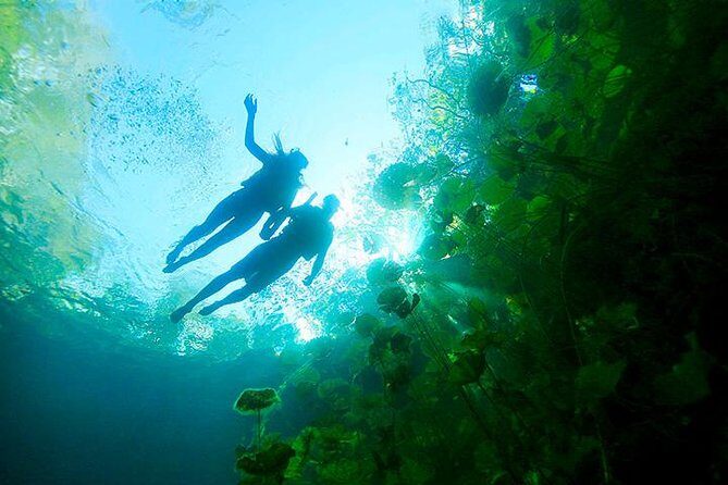 Sacred Adventure at Xenotes! 4 Different Cenotes + Round Transportation - Transportation and Duration: Making It Stress-Free