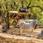 Safari West Sonoma Adventure Tour - The Sum Up