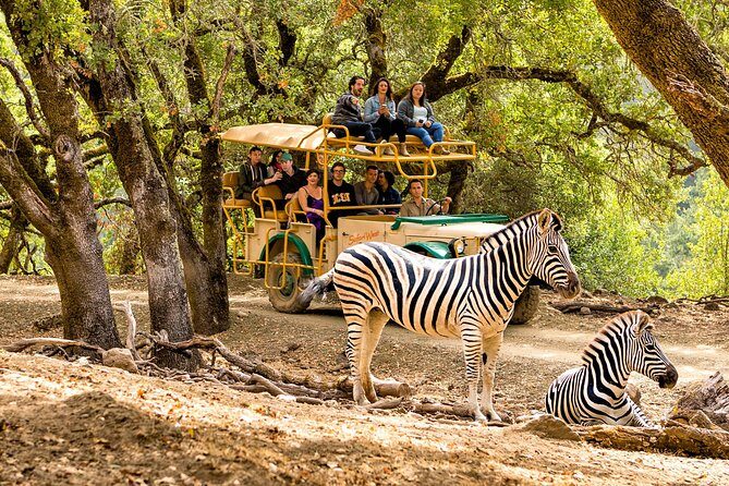 Safari West Sonoma Adventure Tour - The Sum Up