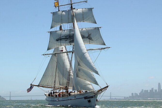 Sail San Francisco Bay on the Historic Brigantine Matthew Turner - The Itinerary: A Closer Look