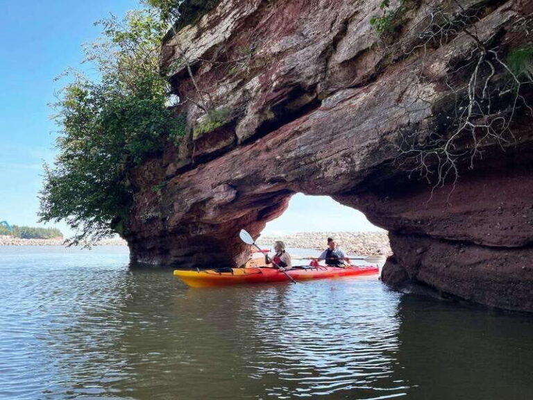Saint John: Guided Kayaking Tour of St. Martins Sea Caves - Who Will Love This Tour?