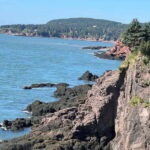 Saint John: Highlights and Sea Caves Tour - Nature and History Collide: Rockwood Park & Fort Howe