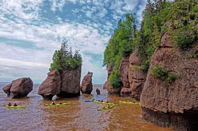 Saint John (NB) Bay of Fundy and Hopewell Rocks Private Tour - An In-Depth Look at the Tour Itinerary
