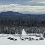 Sainte-Apolline-de-Patton: Guided Wolf Sanctuary Tour - Who Will Benefit Most