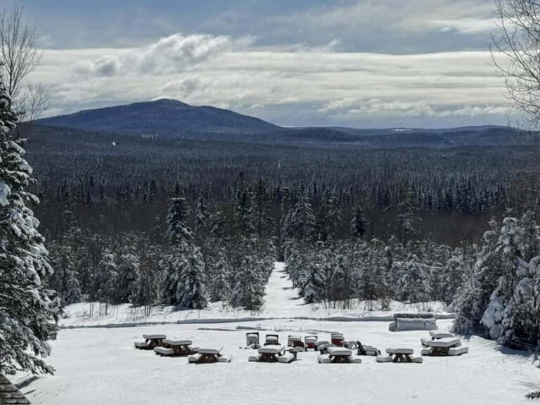 Sainte-Apolline-de-Patton: Guided Wolf Sanctuary Tour - Who Will Benefit Most