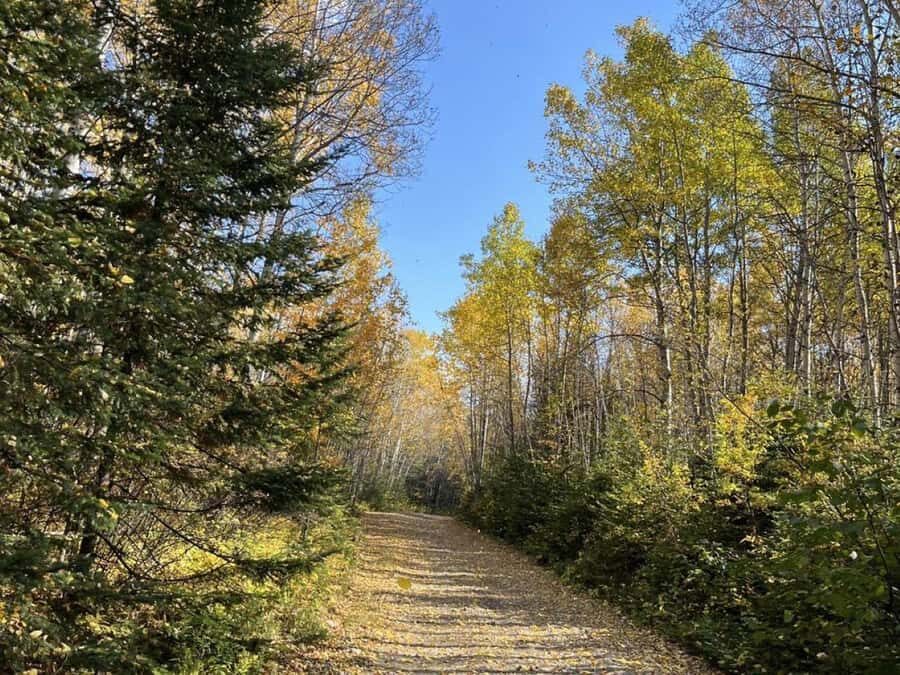 Sainte-Rose-du-Nord: Polaris Ranger Off-Road Adventure - The Highlights: Scenic Views and Interpretive Stops