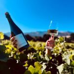 Salinas Valley, CA: Wine tasting experience - What to Expect at Odonata Wines